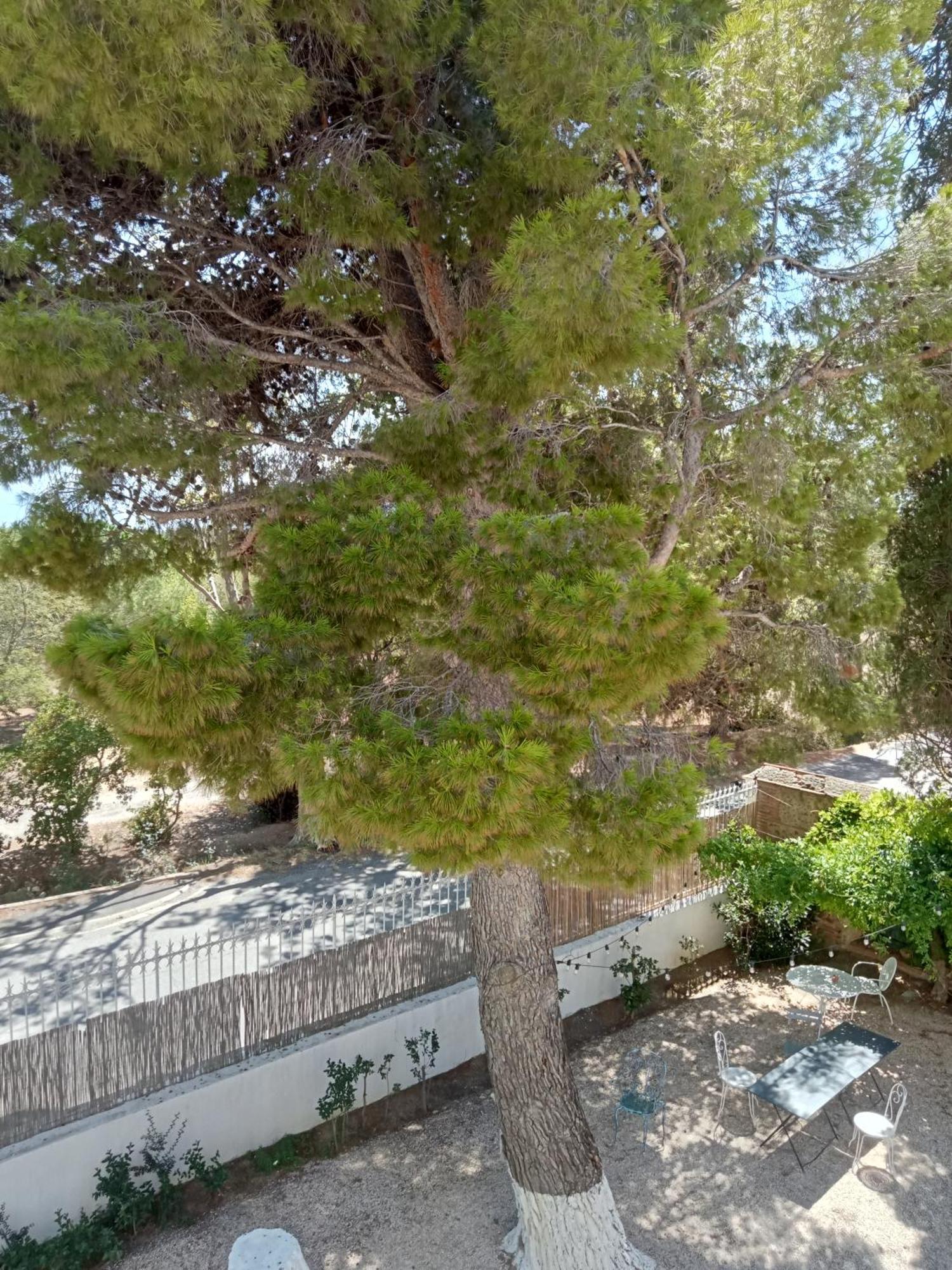 Bed and Breakfast Mas Palegry côté jardin Perpiñán Exterior foto